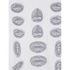 Tops Daily Paper — изображение 2