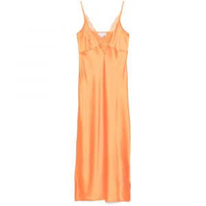 Dresses Never Fully Dressed
