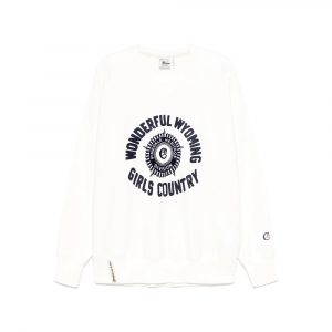 Sweaters & Knitwear Champion