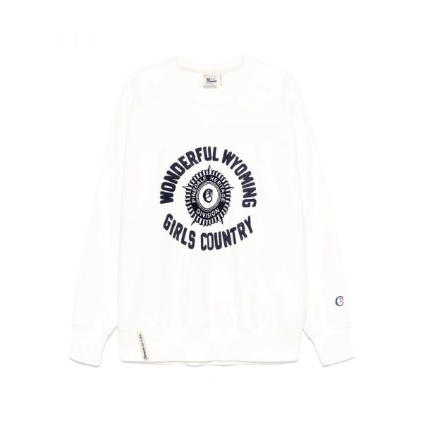 Sweaters & Knitwear Champion