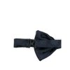 Ties & Bow Ties Lady Anne — изображение 2