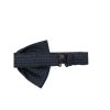 Ties & Bow Ties Lady Anne — изображение 2