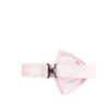 Ties & Bow Ties Lady Anne — изображение 2