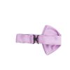 Ties & Bow Ties Lady Anne — изображение 2