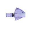 Ties & Bow Ties Lady Anne — изображение 2