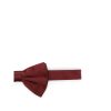 Ties & Bow Ties Lady Anne — изображение 2