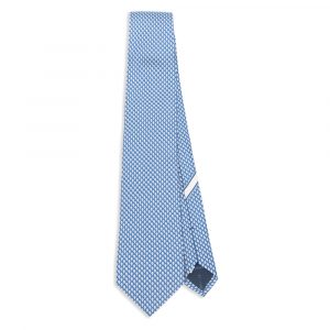 Ties & Bow Ties Ferragamo