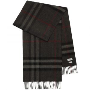 Scarves Burberry