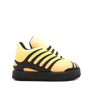 Trainers Pdf