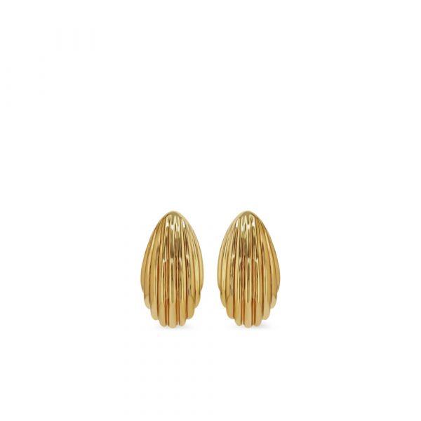 Earrings Anine Bing