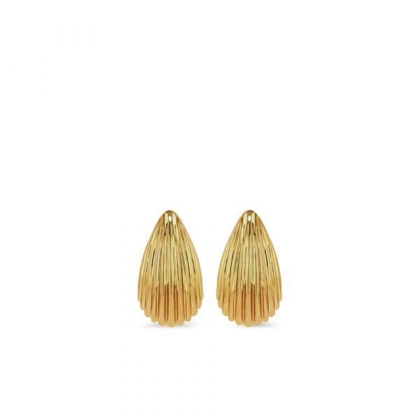 Earrings Anine Bing