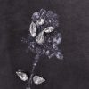 Ardennes Reimagine Pinko x Patrick Mc Dowell cotton dress — изображение 3